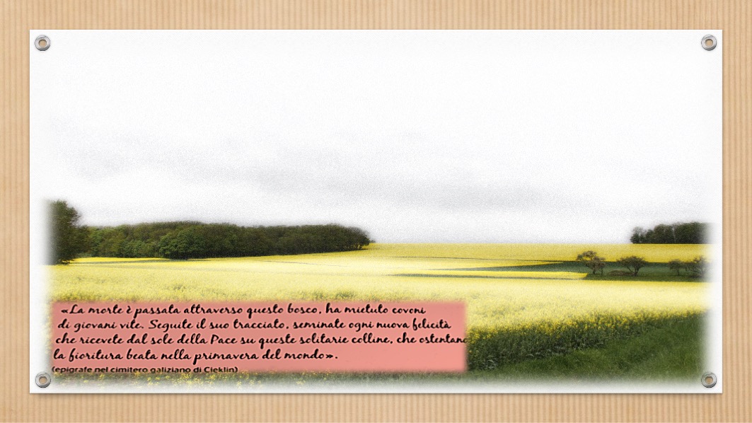 Piossasco-e-la-prima-guerra-mondiale-00026